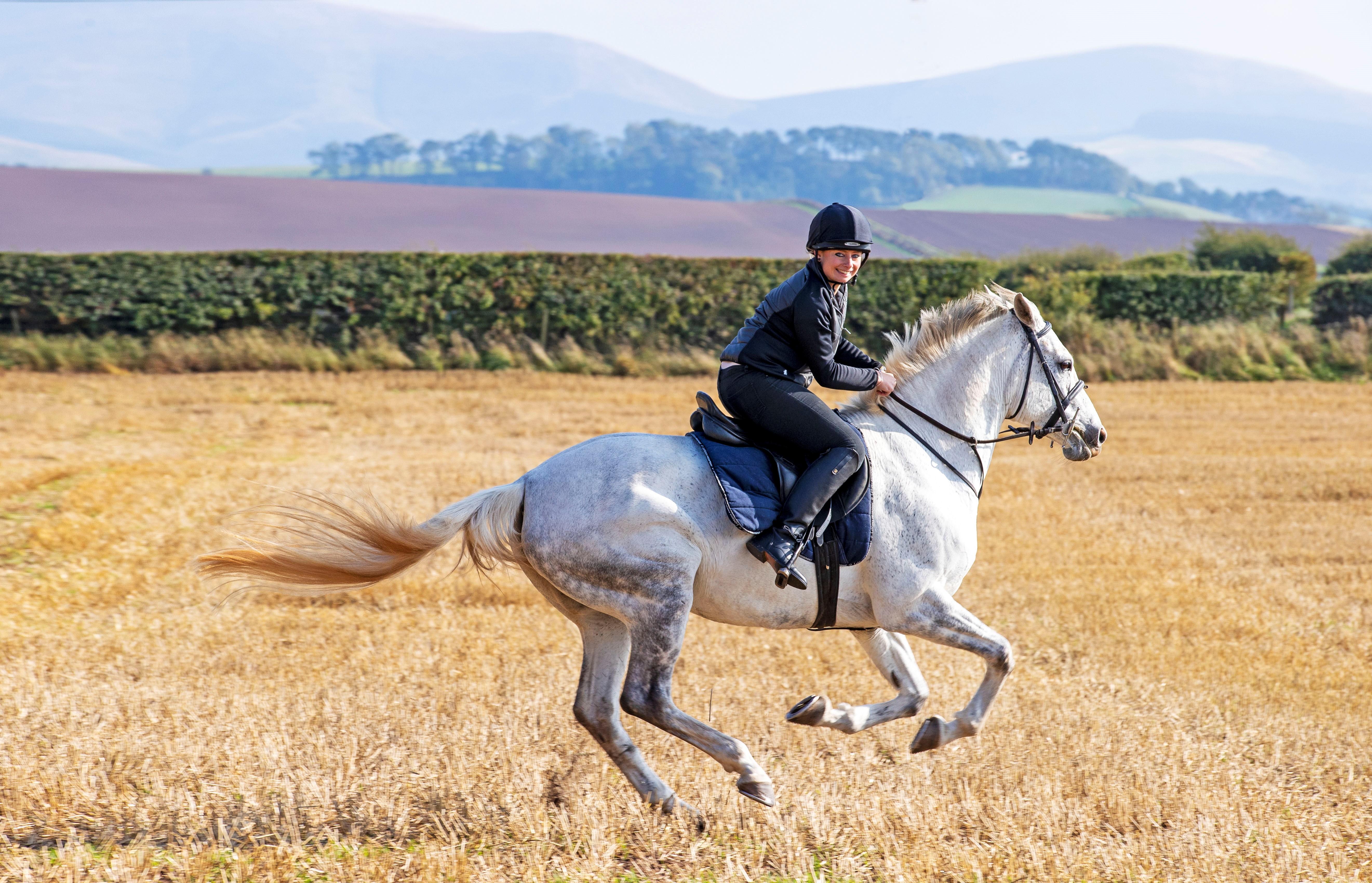 Schloss Roxburghe, Part Of Destination By Hyatt 外观 照片 A rider on a purebred Spanish horse